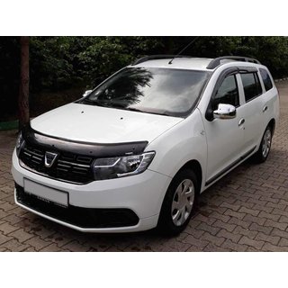 Hood Deflector (EuroCap) photo 1