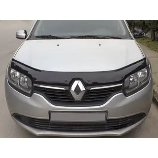 Hood Deflector (EuroCap) photo 1