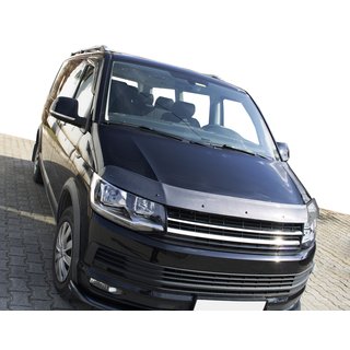 Hood Deflector Carbon Look (EuroCap) photo 1
