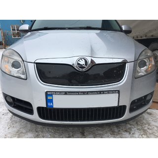Winter grille cover (2007-2010, upper) photo 1