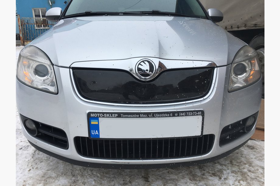 Skoda Fabia 2007-2014 Winter grille cover (2007-2010, upper) Image