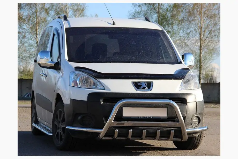 Citroen Berlingo 2008-2018 Bull Bar WT003-Plus (Stainless Steel) Image
