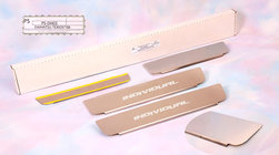 Daihatsu Terios 2006-2017 Door Sill Protectors Natanika Standard (4 pcs, Stainless Steel) photo 1