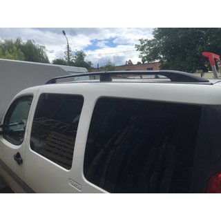 Black Roof Rails photo 4