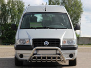 Citroen Jumpy 1996-2007 Bull Bar WT002 (Stainless Steel) photo 1