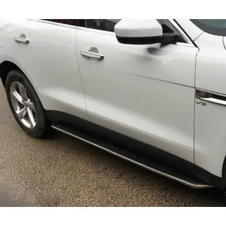 OEM Side Steps (2 pcs) photo 1