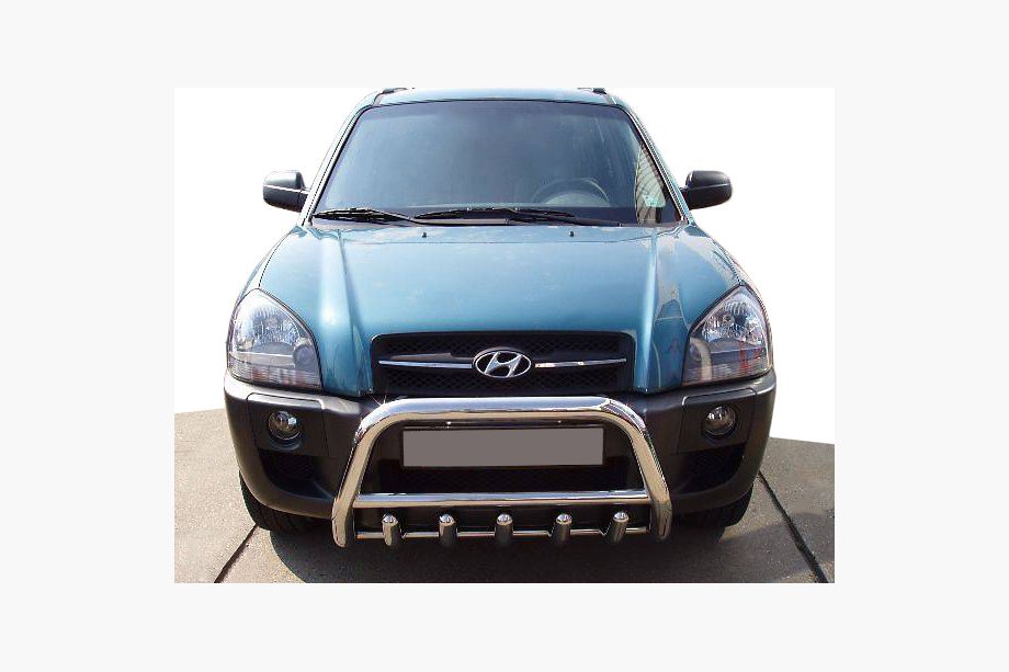Hyundai Tucson JM 2004- Bull Bar WT003 (Stainless Steel) 60 mm Image