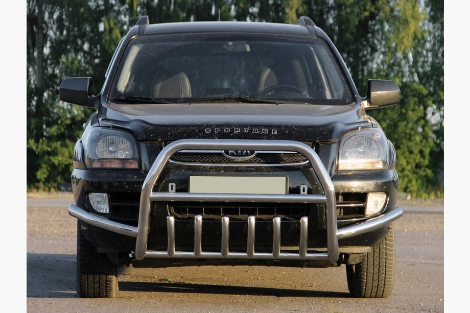 Kia Sportage 2004-2010 Bull Bar WT003 Special (Stainless Steel) Image