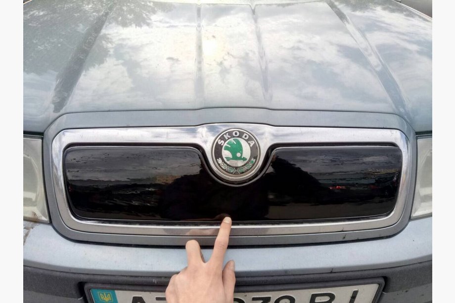 Skoda Octavia I Tour A4 1996-2010 Winter grille (upper) glossy Photo 5