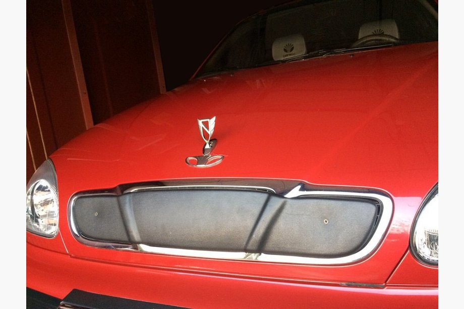 Daewoo Lanos 1998-2017 Winter grille cover (upper) Image