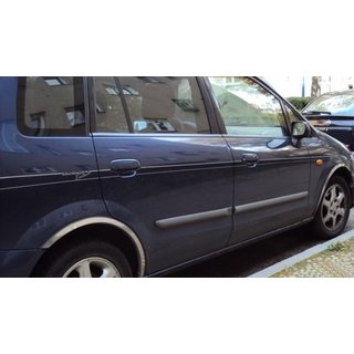 Stainless Steel Fender Trim (4 pcs) photo 1