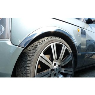 Stainless Steel Fender Trim (4 pcs) photo 1
