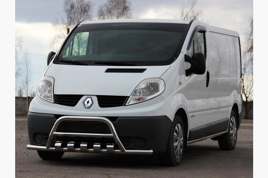 Opel Vivaro 2001–2015 Bull bar WT003-15 (stainless steel) Image