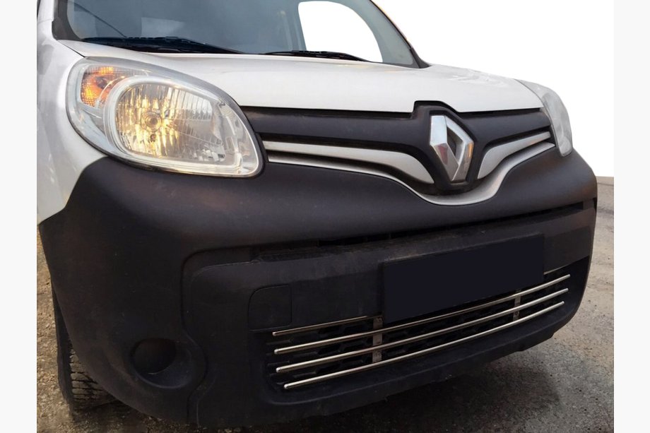 Renault Kangoo 2008–2020 One-piece stainless steel bumper grille Image