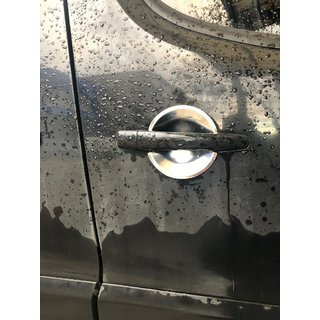 Chrome Handle Inserts (4 pcs, Stainless Steel) photo 1