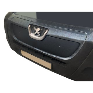 Winter grille (2006-2014) photo 1