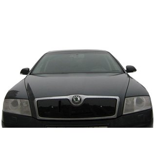 Winter grille cover (upper) Skoda Octavia II A5 2006-2010 photo 4