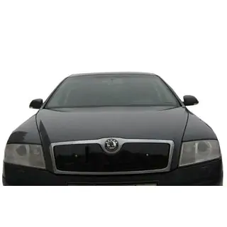 Winter grille cover (upper) photo 4