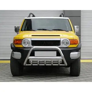 Bull Bar WT003 (Stainless Steel)