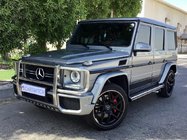 Mercedes G class W463 1990-2018 Front Bull Bar (AMG) photo 1