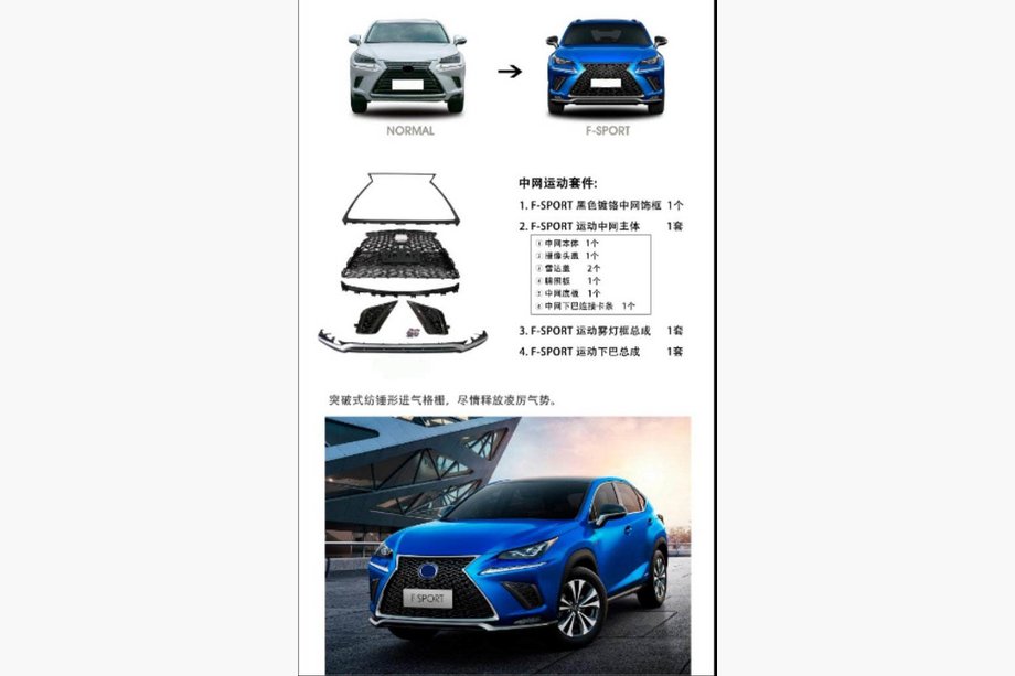 Lexus NX 2014-2021 Front grille with lip F-Sport (2018+) Image