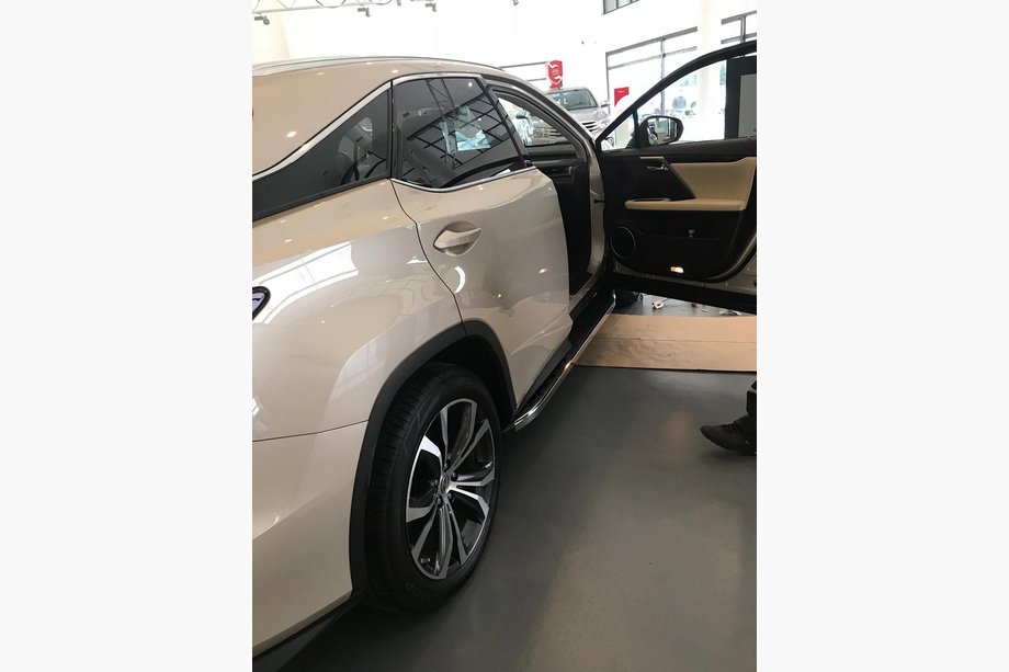 Lexus RX 2016-2022 Side Steps BlackLine (2 pcs) Image