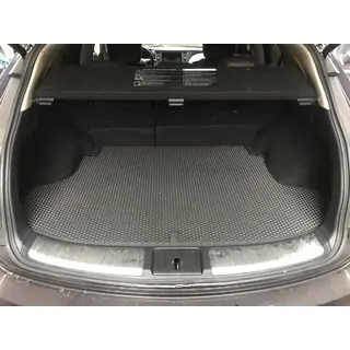 Trunk Mat (EVA, Black) photo 1