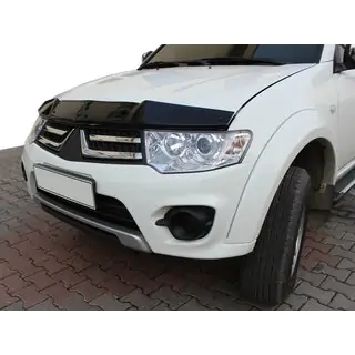 Hood Deflector (EuroCap) photo 1