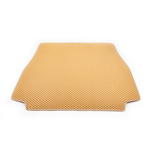 Trunk Mat (EVA, Beige) BMW X5 E53 1999–2006 photo 1