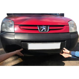 Winter grille (2003-2008)
