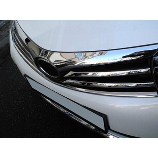 Lower radiator grille trim (2013-2016, stainless steel)