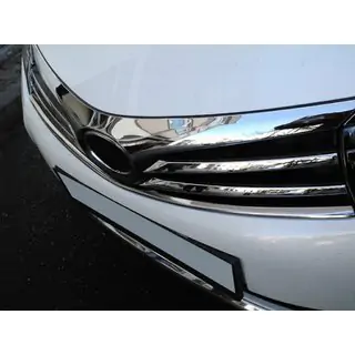 Lower radiator grille trim (2013-2016, stainless steel) photo 1
