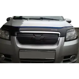 Winter grille photo 1