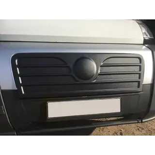 Winter grille (2006-2014) photo 2