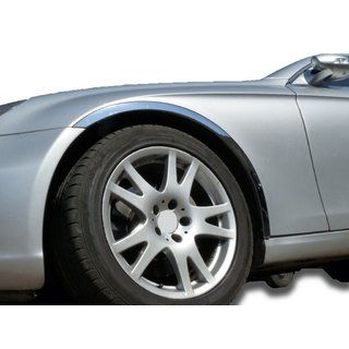 Stainless Steel Fender Trim (4 pcs) photo 1