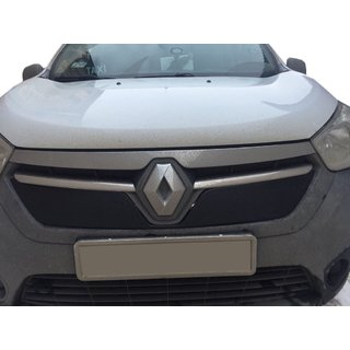 Winter grille (2013-2017) photo 2