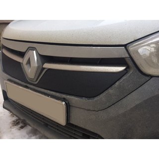 Winter grille matte (2013-2017) photo 2