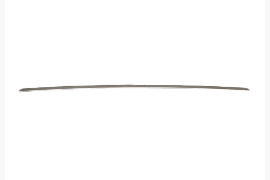 Citroen Cactus 2014-2020 Chrome trim above license plate (stainless steel) Image