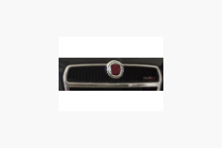 Fiat Doblo II 2010-2022 Logo Cover (Stainless Steel) Image