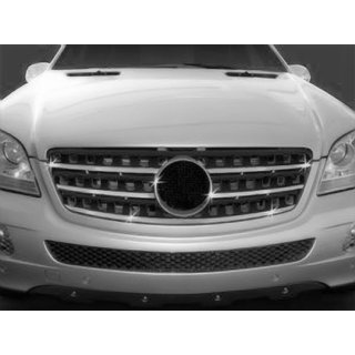 Chrome Grille Trim (5 pcs, Stainless Steel) photo 1