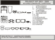 Peugeot 307 2001-2008 Interior Tuning (Hartman) Blue photo 1