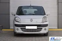 Renault Kangoo 2008–2020 Front Bar ST008 (Stainless Steel) photo 3