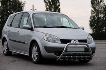Renault Scenic/Grand 2003-2009 Bull Bar WT004 (Stainless Steel) photo 3
