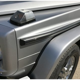 Carbon Door Moldings (Inserts) photo 2