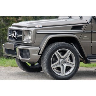 Fender Flares for AMG (4 pcs, ABS)