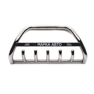 Bull Bar WT004 Stainless Steel photo 2