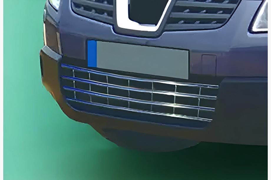 Nissan Qashqai 2007-2010 Bumper Grille (Stainless Steel) Image