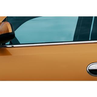 Exterior Window Trim Stainless Steel (4 pcs) photo 2