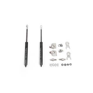 Tailgate Strut Kit photo 3
