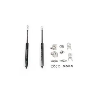 Tailgate Strut Kit photo 3